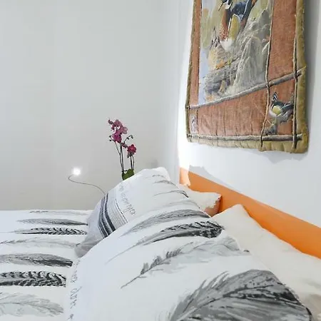 Il Carpino *